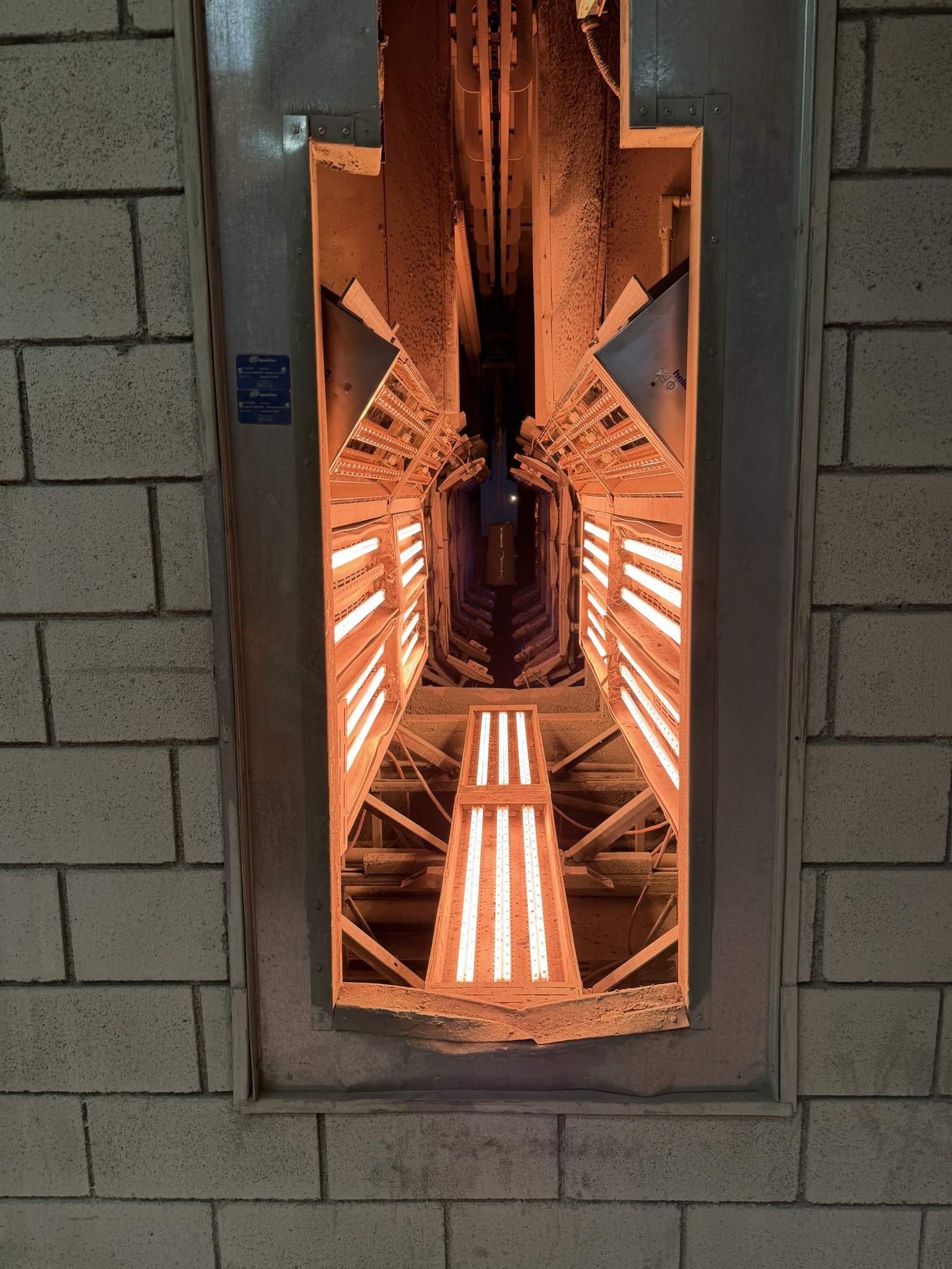 Featured image for “Mexico Visit”